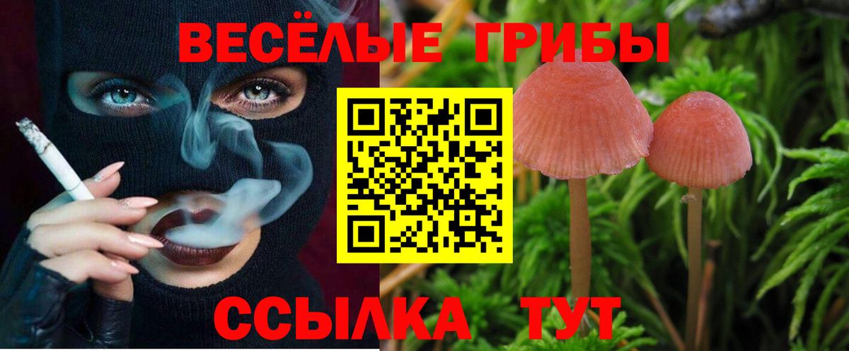 Псилоцибиновые грибы прущие грибы Королёв