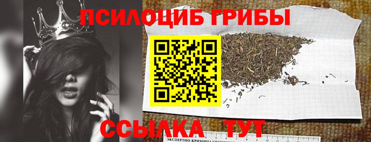 Королёв  Галлюциногенные грибы мухоморы  Вход с VPN  Псилоцибиновые грибы GOLDEN TEACHER 