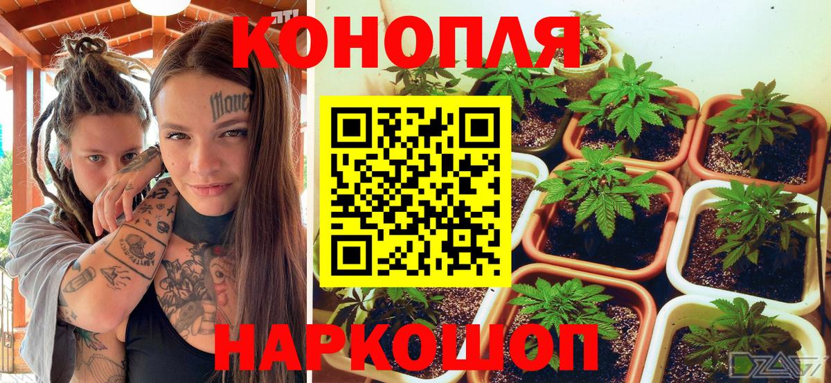 Каннабис THC 21% Королёв